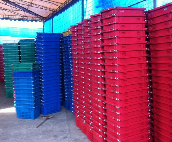 ตะกร้าผลไม้ ลังหูเหล็ก ขายส่ง เริ่มตันใบละ120บาท(@50ใบ) บรรจุ 25kg. เบอร์ rs 001