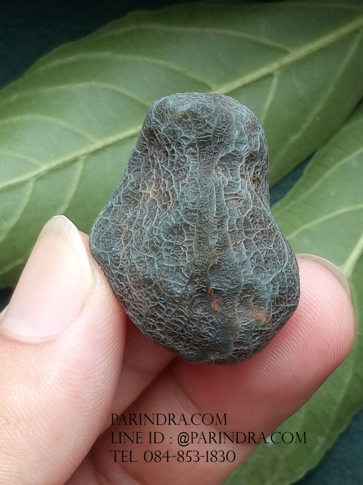 หินรูปทรงประหลาดจากทะเลทรายโกบี GOBI Filament Stone #GOBI002