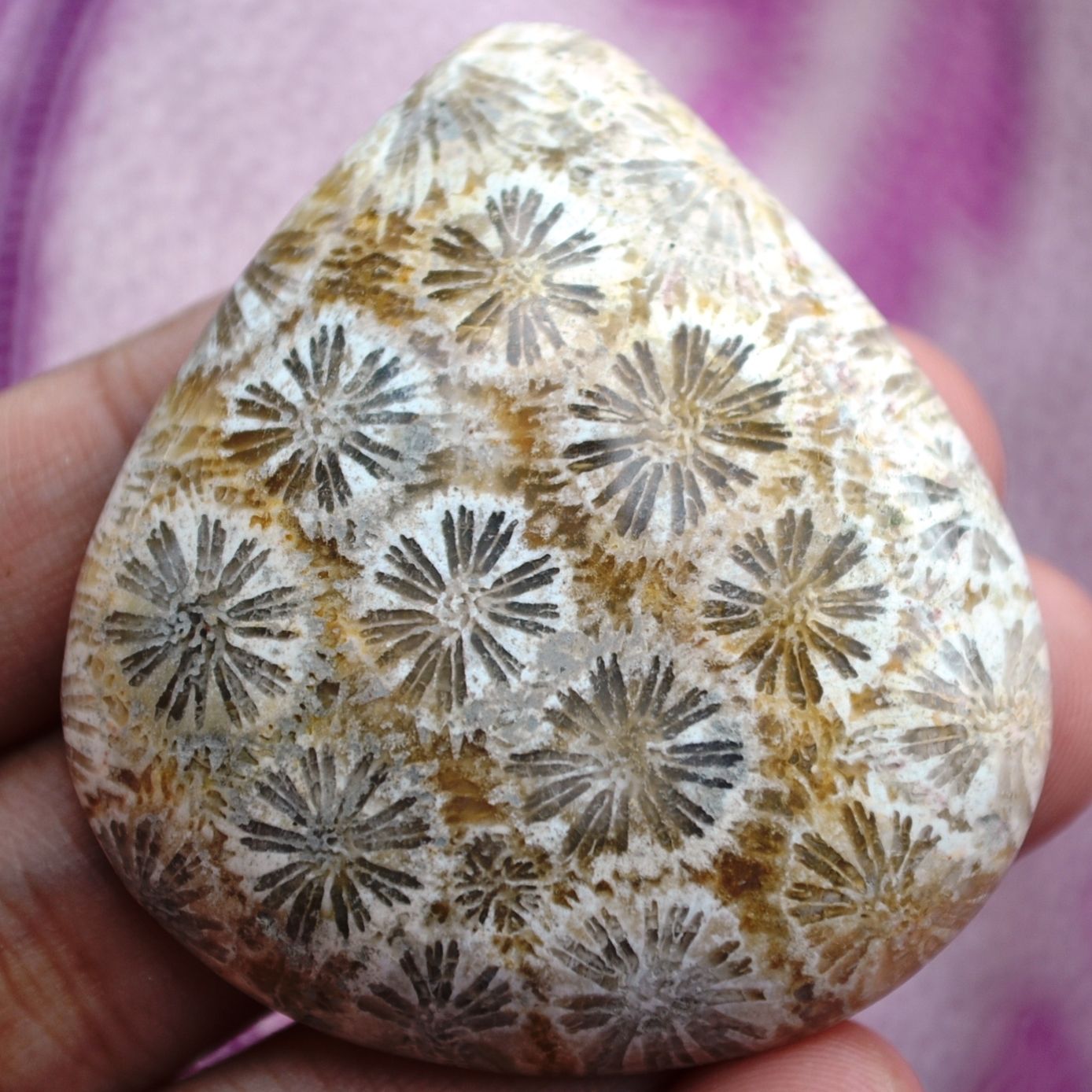 ฟอสซิลหินปะการังขัด Fossil Coral ใหญ่และหนา สำหรับห้อยคอ หรือ พวงกุญแจ คัดสวยพิเศษ #CRF021