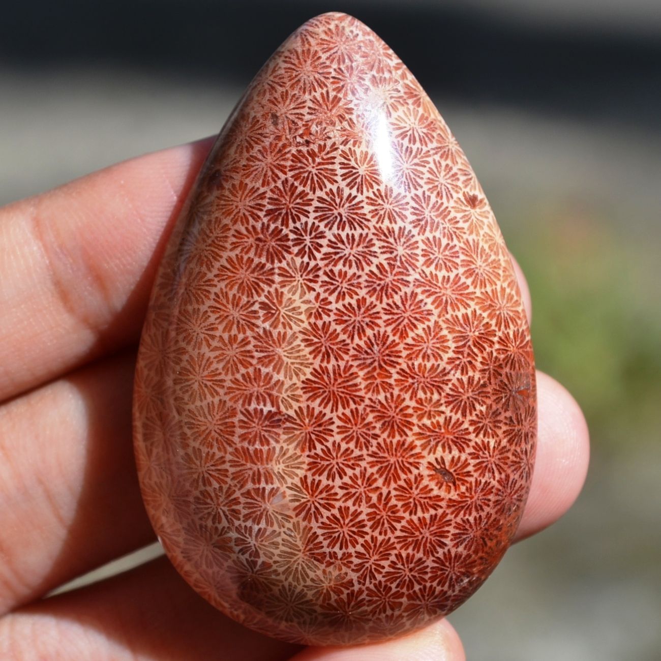 ฟอสซิลหินปะการังขัด Fossil Coral ใหญ่และหนา สำหรับห้อยคอ หรือ พวงกุญแจ คัดสวยพิเศษ #CRF016