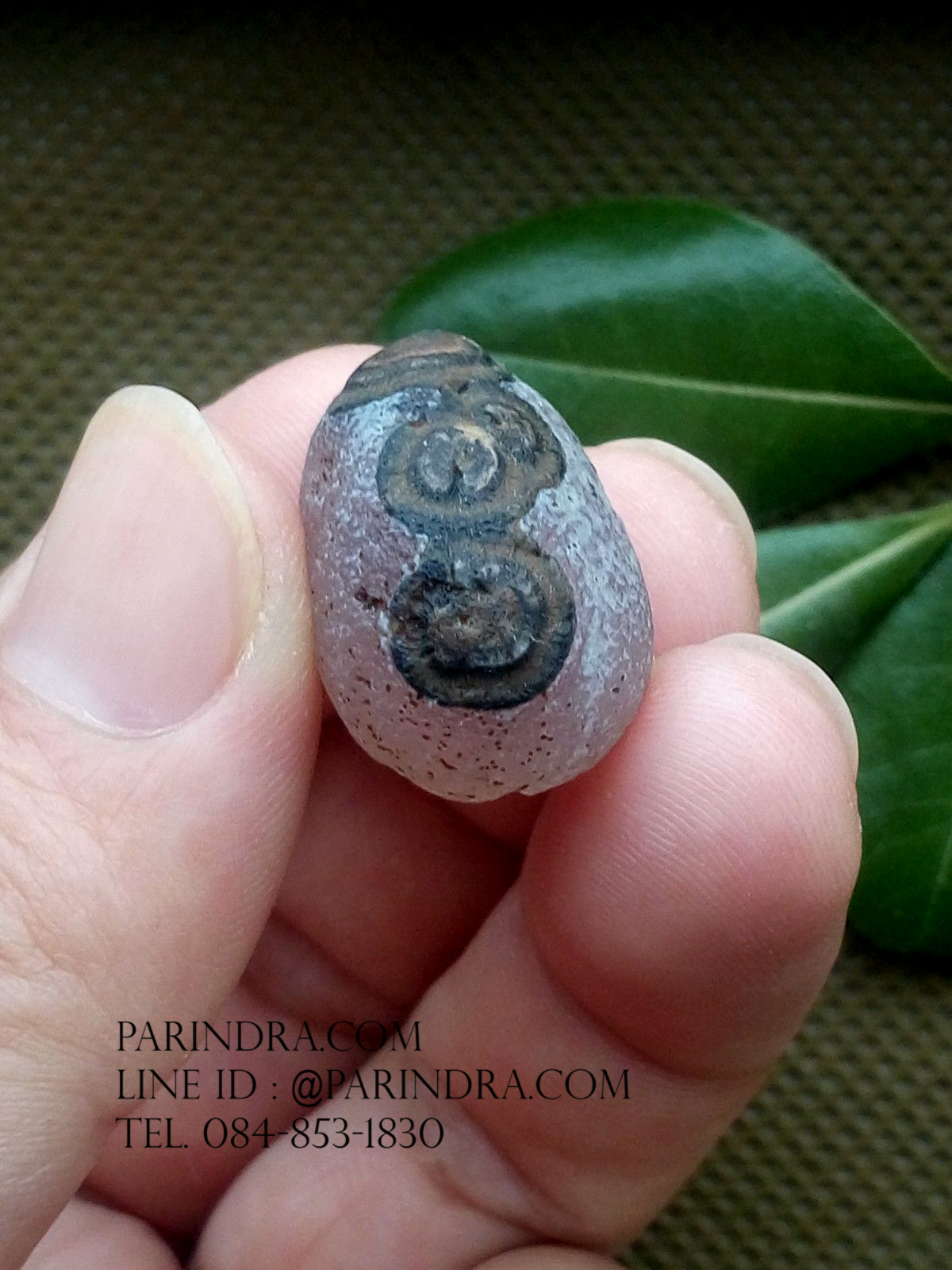 หินรูปทรงประหลาดจากทะเลทรายโกบี GOBI Eye Stone #GOBI003