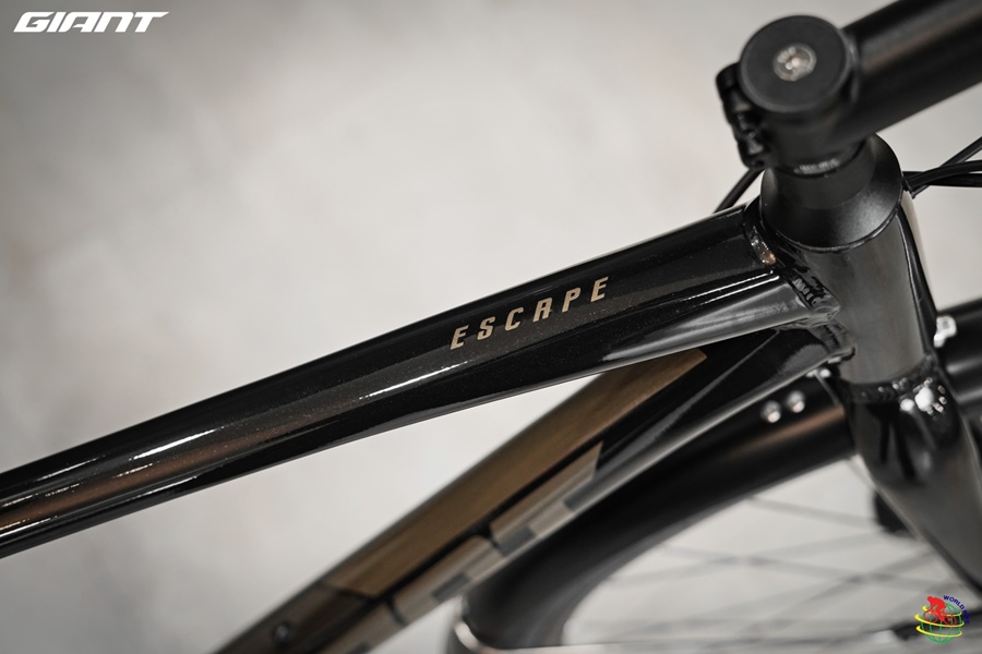 จักรยาน GIANT ESCAPE 2 CITY DISC 2x8สปีด ดิสน้ำมัน พร้อมตะแกรงท้ายและบังโคลน, Giant NEW 2024