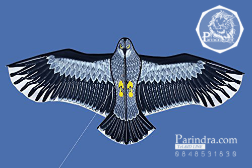 ว่าวนกอินทรีย์ ต่างประเทศ ขนาดปีก 1.5 เมตร น่าเล่นครับ