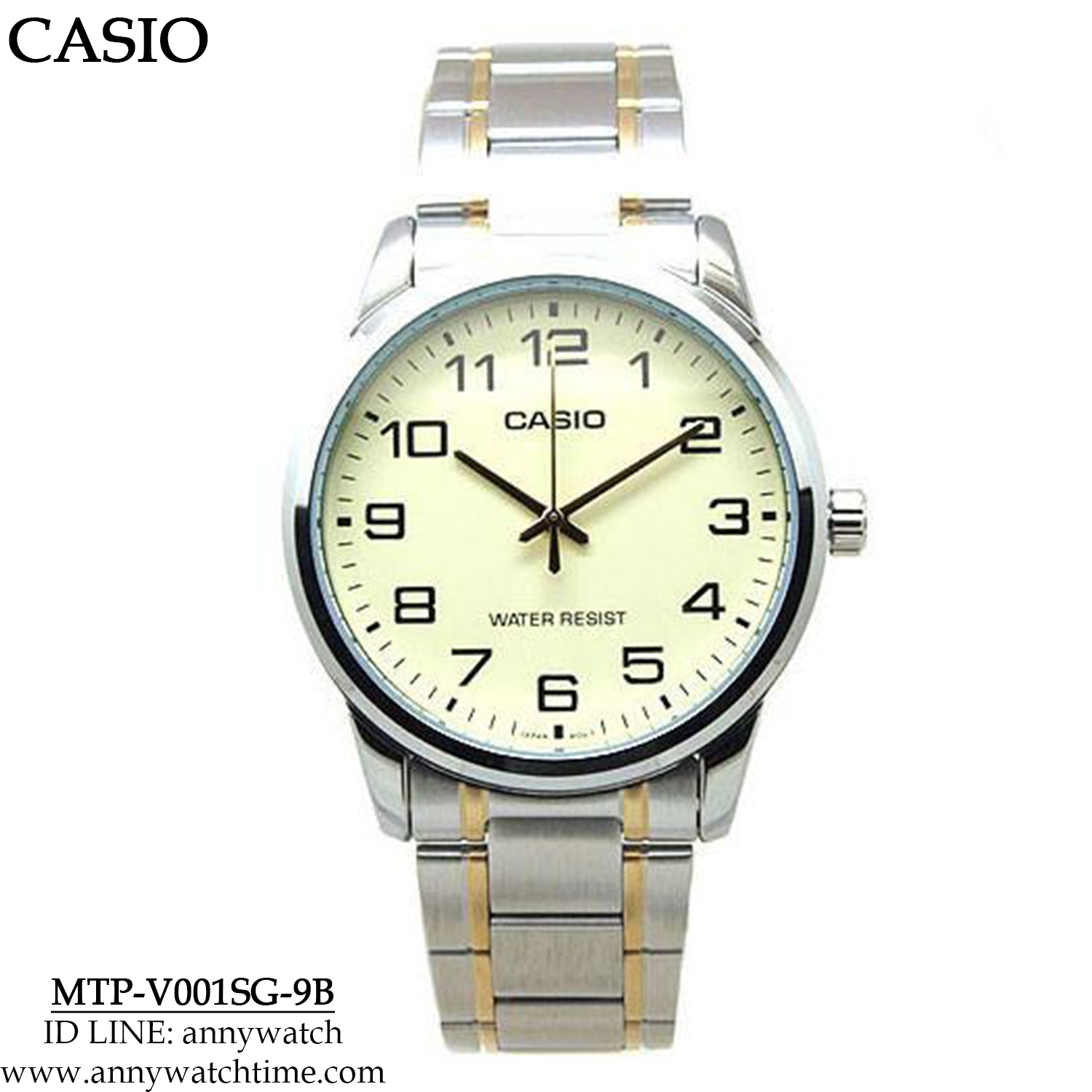 CASIO MTP-V001SG-9B