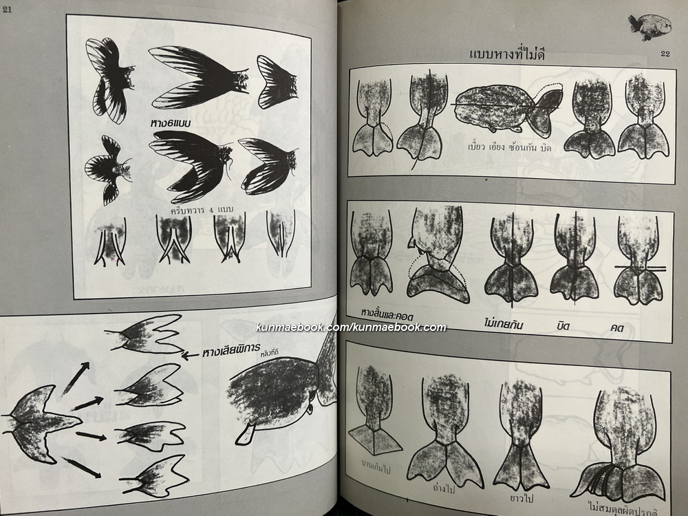 หนังสือวิชาการเลี้ยงปลาทอง ' พันธุ์หัวสิงโต ' ของ ส.ละเอียดอ่อน / นำเสนอโดยประยูร จรรยาวงษ์