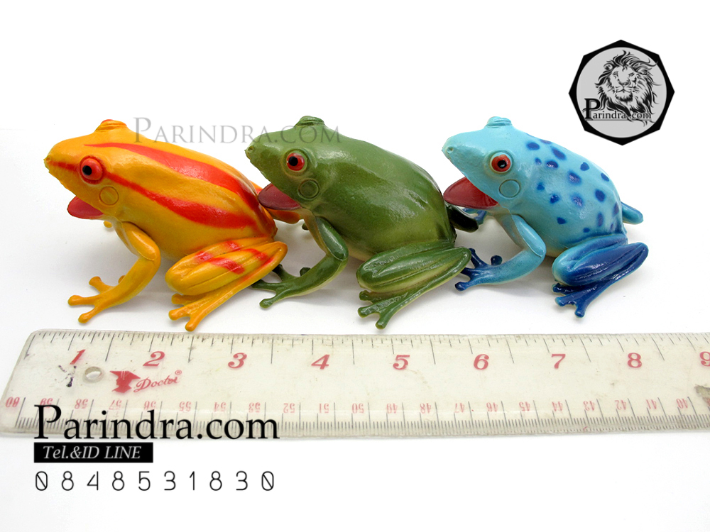 โมเดลกบ ชุดโมเดลกบยางสีสันสดใส บีบมีเสียง