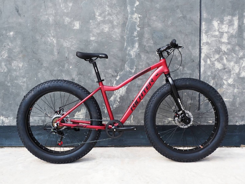 Richter Chopper big wheel bike, aluminum frame, 26 inch wheels, 7 speed Shimano gears.