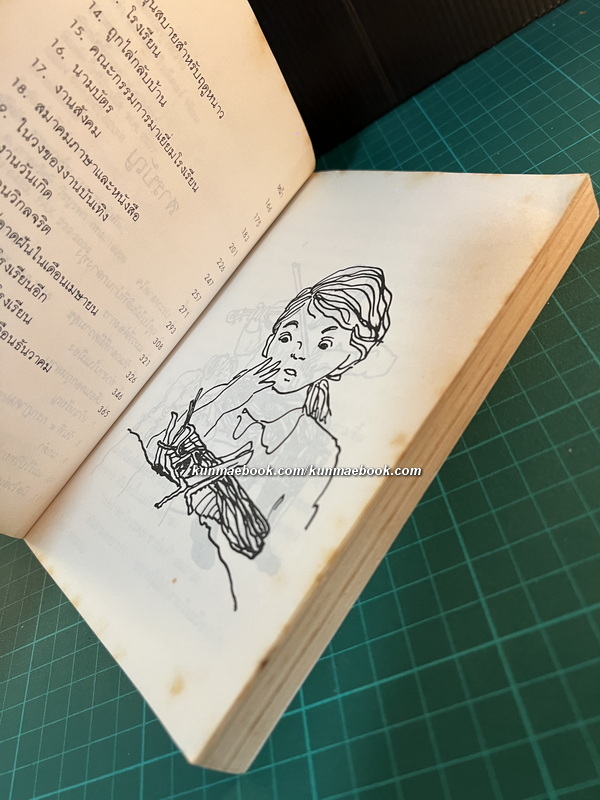 หนังสือชุดบ้านเล็กในป่าใหญ่ (The Little House Books) เล่ม 6 เมืองเล็กในทุ่งกว้าง