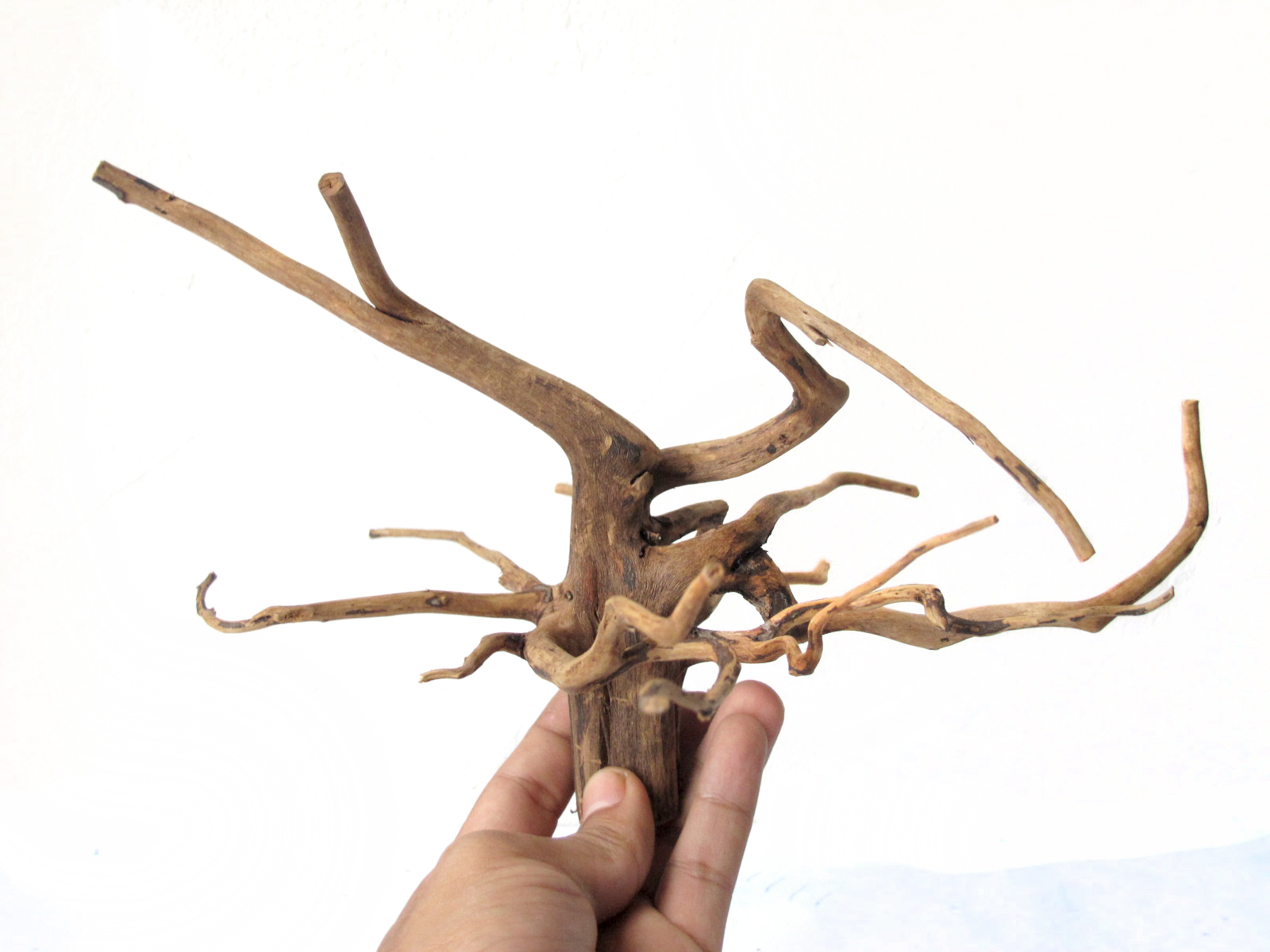 ขอนไม้ตกแต่งตู้ปลาหรือใช้เลี้ยงสัตว์เลื้อยคลาน 011