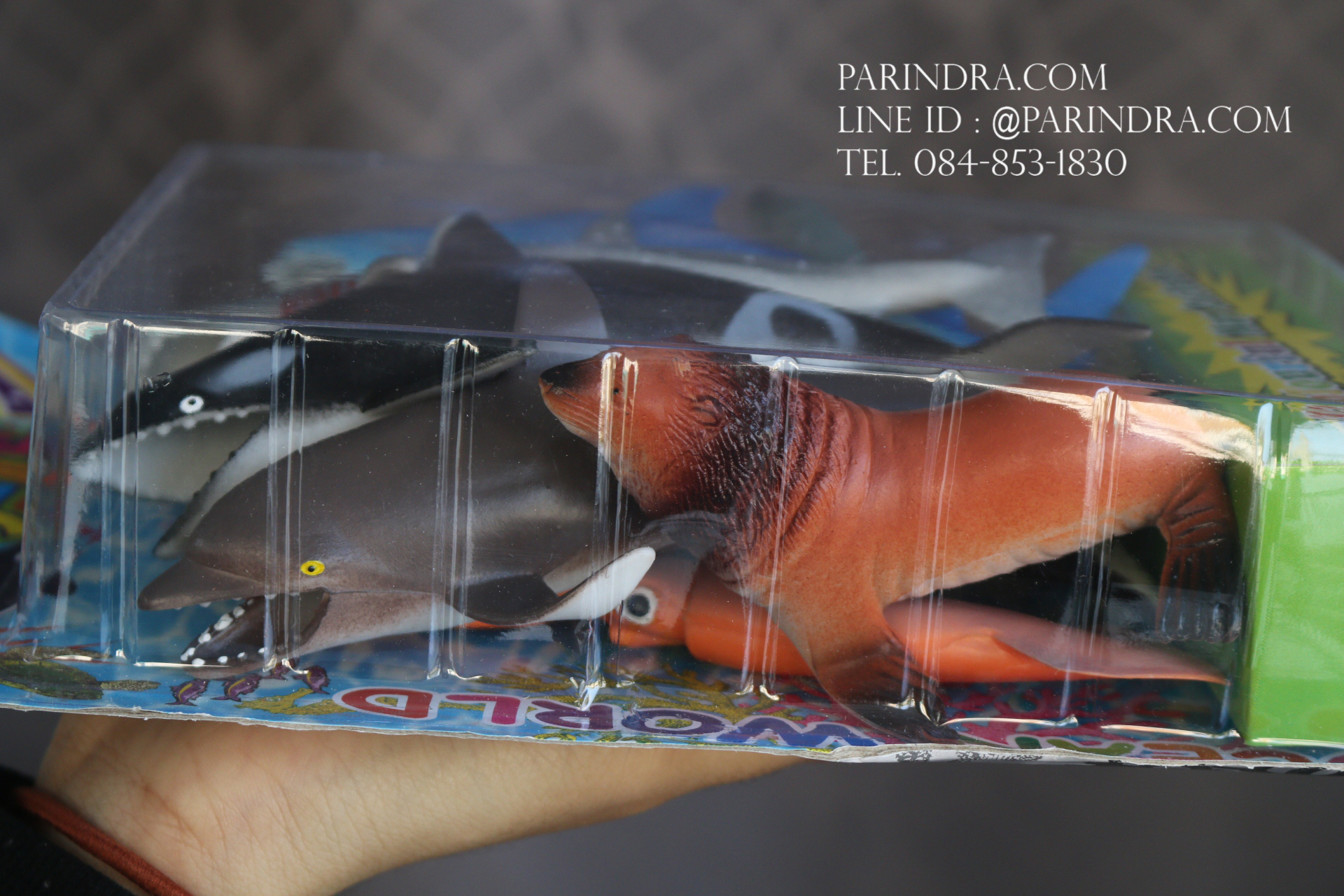 โมเดลชุดสัตว์ทะเลรวม