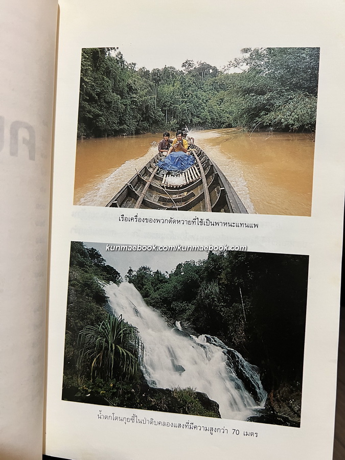 คนเดินป่า นักเขียนสารคดีมืออาชีพจาก อ.ส.ท. โดย สุรจิต จามรมาน