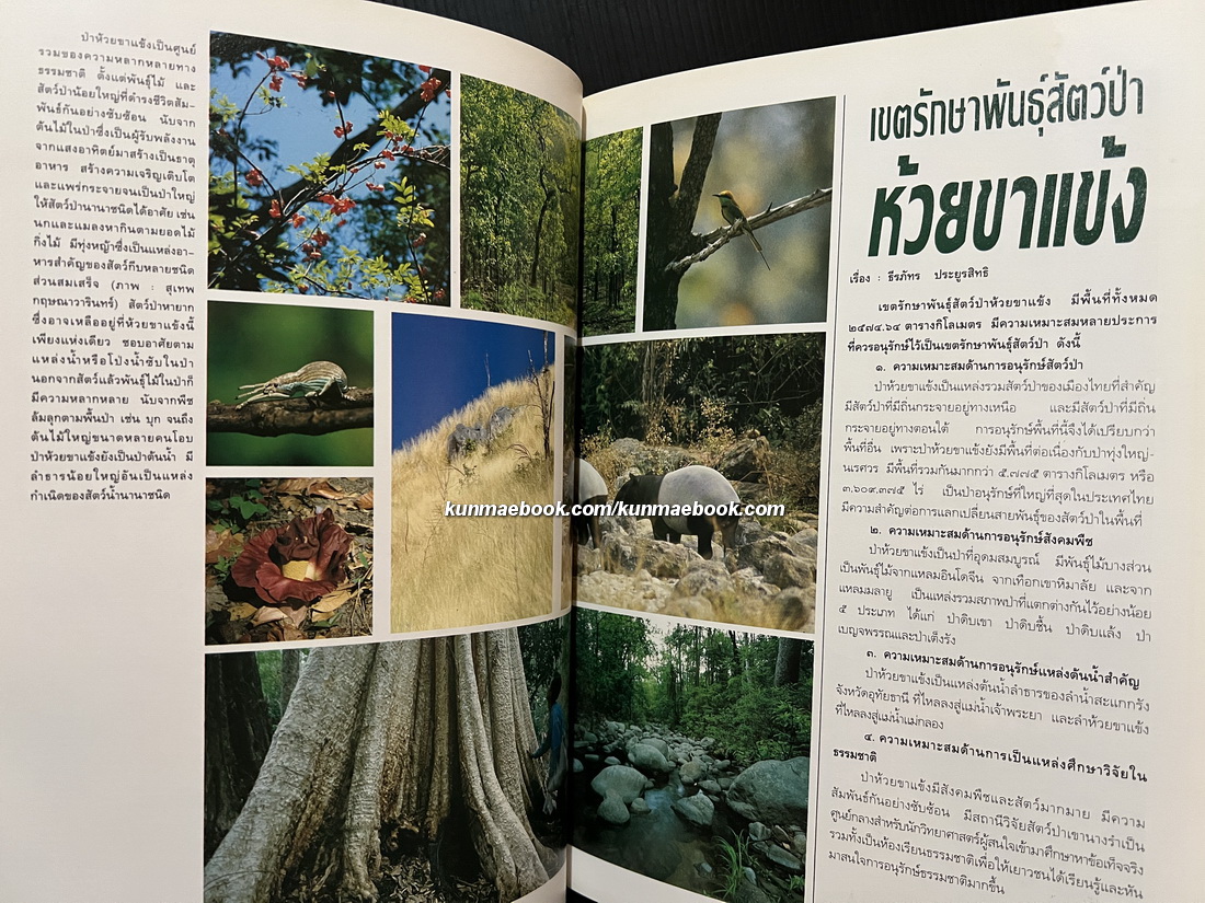 ห้วยขาแข้ง 'รวมสารคดี-ภาพ ป่าและสัตว์ป่าหายาก ที่เป็นมรดกสัตว์ป่าและพืชพันธุ์ของโลก'