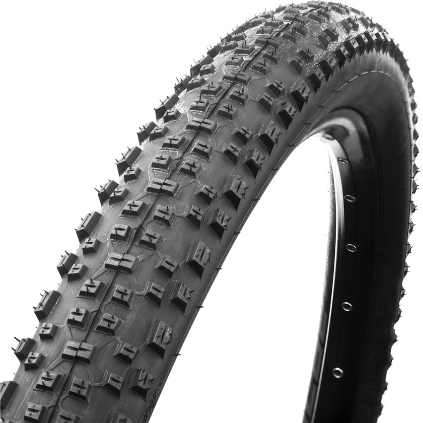 SCHWALBE ยางนอก เรสซิ่งราฟ RACING RALPH EVO, SnakeSkin, ขอบพับ, 29X2.10, สีดำ ,TUBELESS EASY