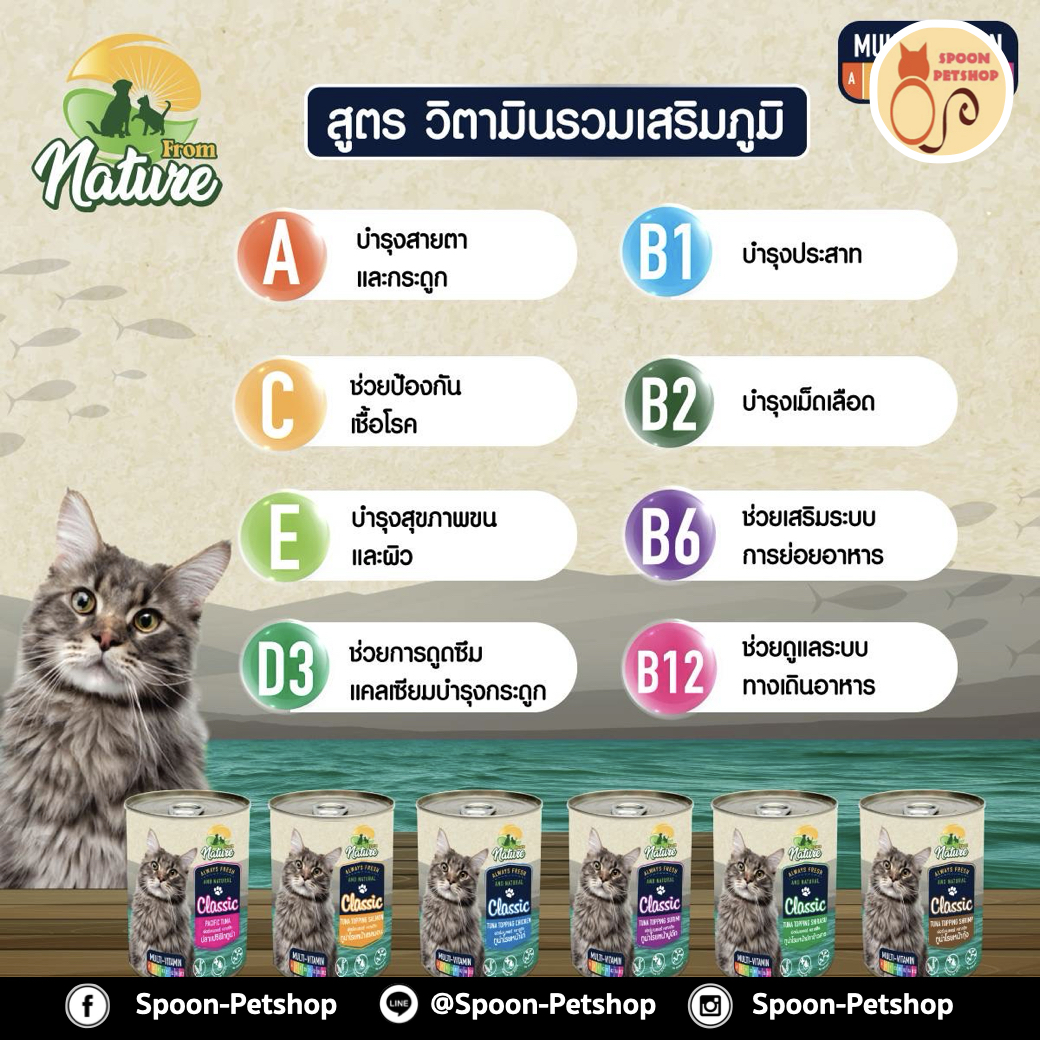 From Nature อาหารเปียก กระป๋อง ฟรอมเนเจอร์ สำหรับแมว สูตรมัลติวิตามิน รสทูน่าโรยหน้าปลาข้าวสาร ขนาด 400 กรัม