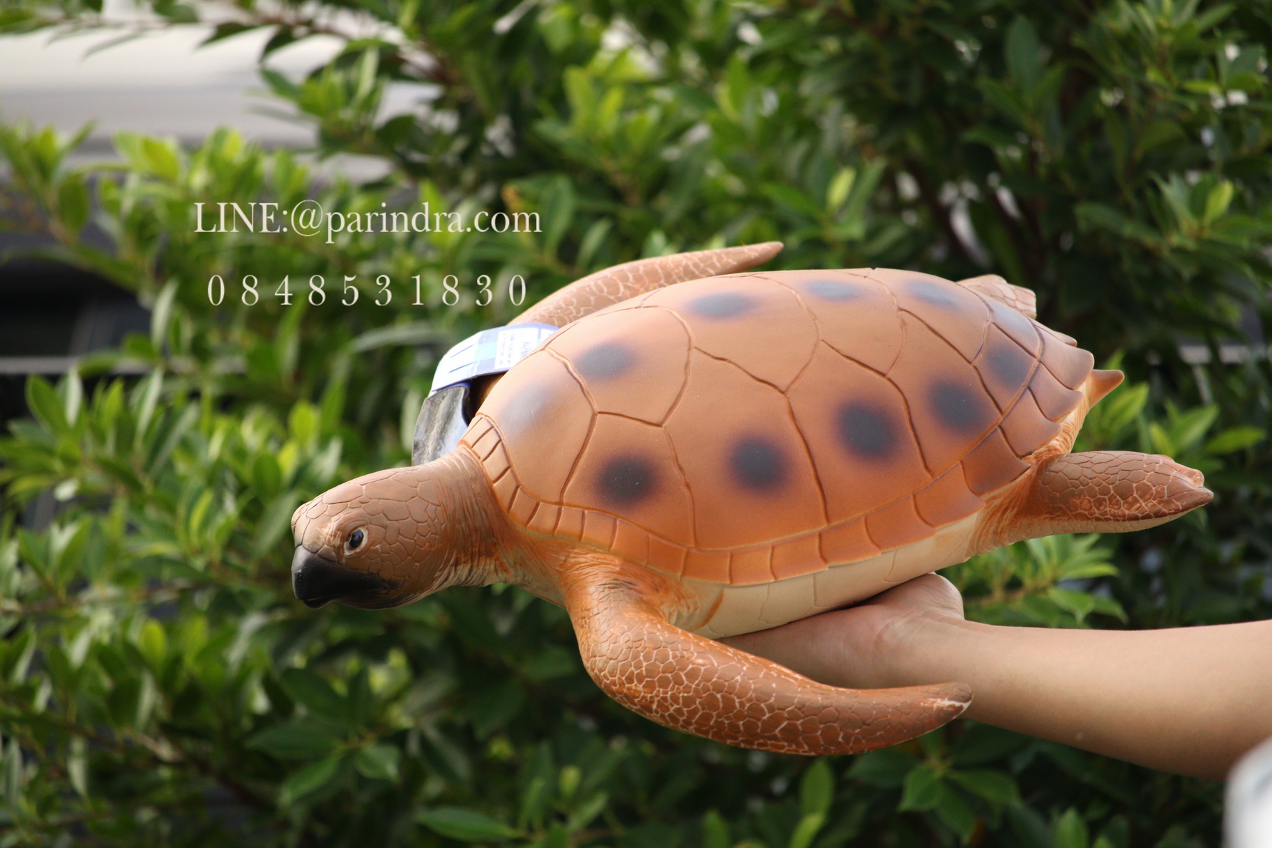 โมเดลเต่าทะเลสีน้ำตาล ขนาด 15 นิ้ว ยางอ่อนนุ่มนิ่ม บีบได้