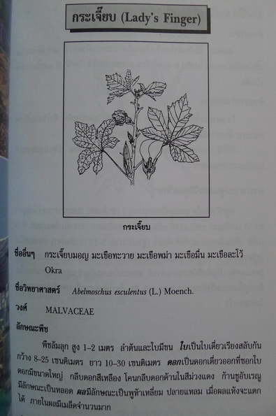 สมุนไพรในสวนครัว ผลงานของ วันดี กฤษณพันธ์ , เอมอร โสมนะพันธุ์ และเสาวณี สุริยาภณานนท์