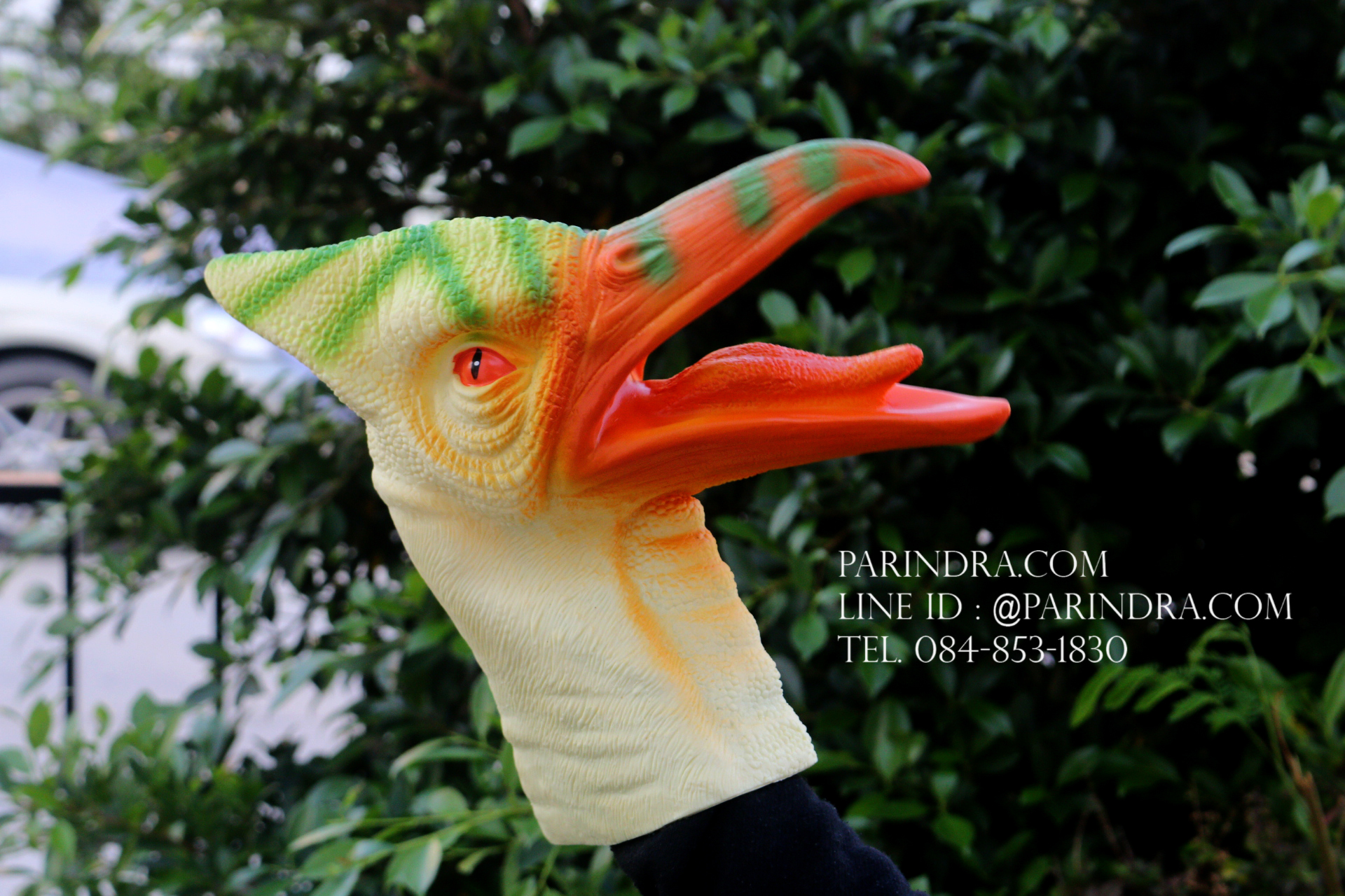 โมเดล ถุงมือยาง หัวนกไดโนเสาร์