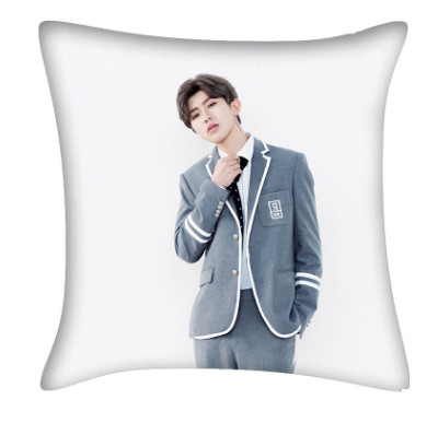 หมอน ช่ายสวีคุน (Cai Xukun)