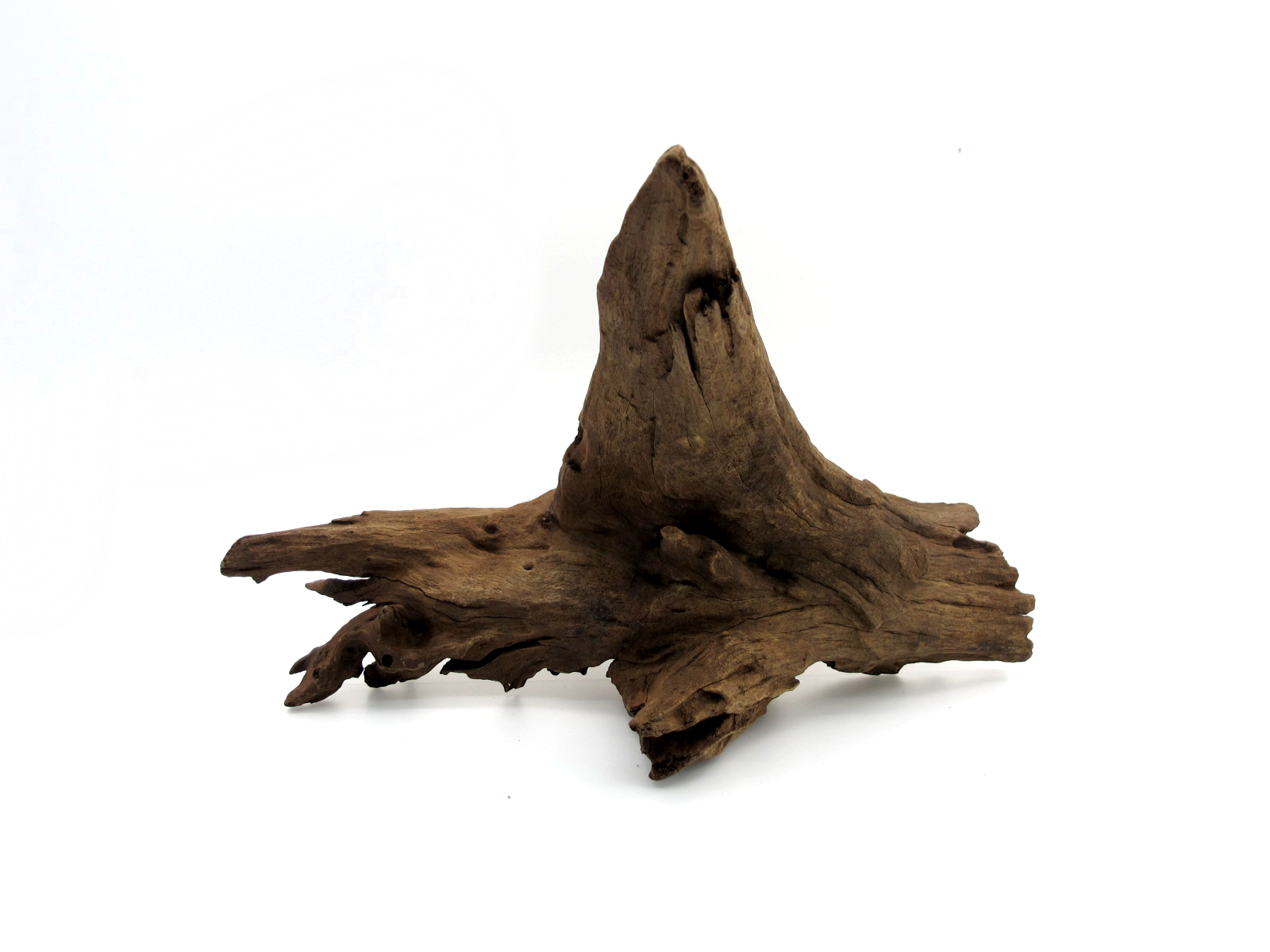 ขอนไม้ตกแต่งตู้ปลาหรือใช้เลี้ยงสัตว์เลื้อยคลาน 053