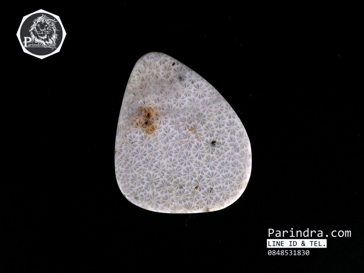 ฟอสซิลหินปะการังขัด สำหรับห้อยคอ หรือ พวงกุญแจ คัดสวยพิเศษ #CRF008