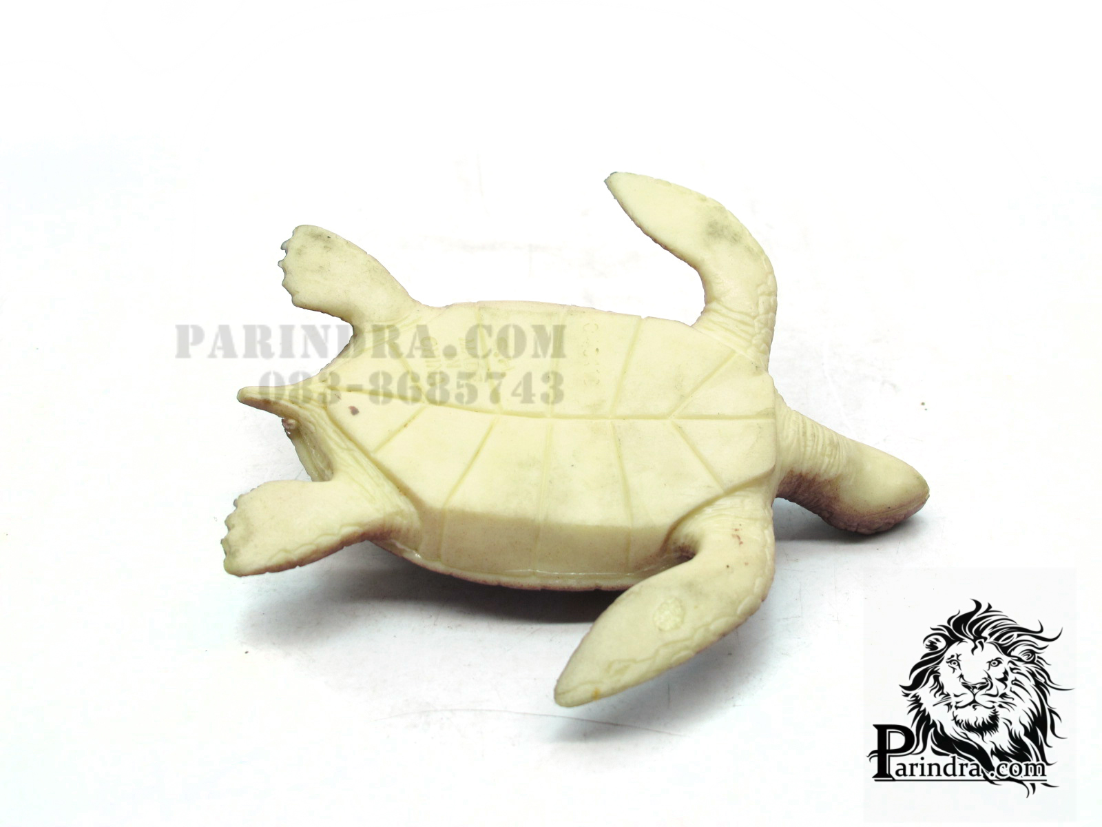 โมเดลเต่าทะเลสีเขียว