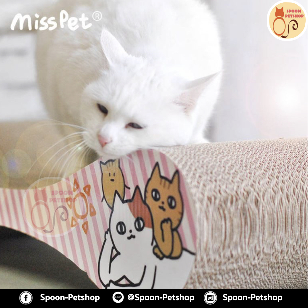 ที่ลับเล็บ ของเล่นแมว โซฟาแมว รุ่นกระดูกแมวไซส์บิ๊ก ฟรี! Catnip กัญชาแมว
