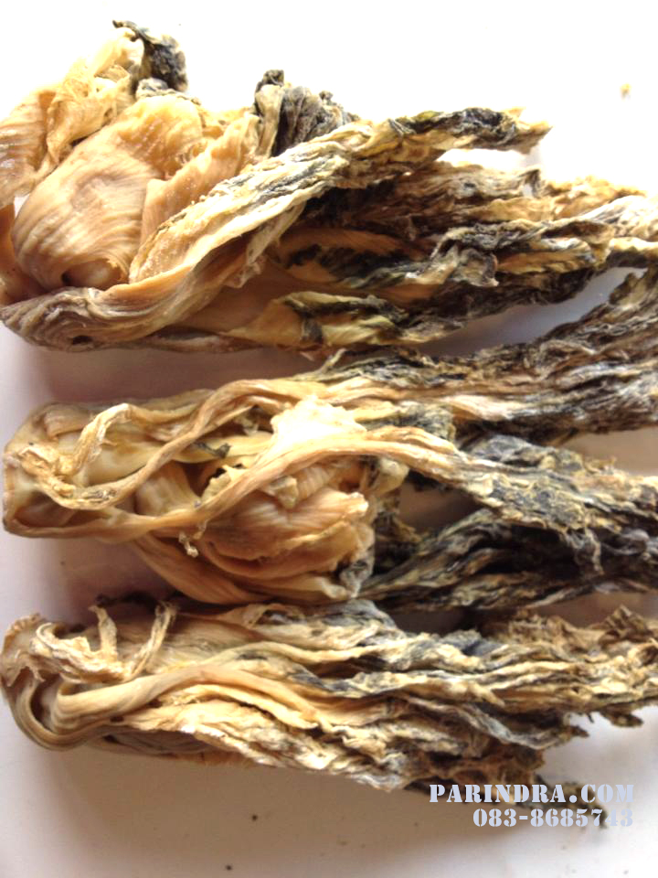 ขายส่งผักกาดดองตากแห้ง ไช่กัว ไฉ่กัว ฉ่ายกั่ว กานเสียนไช่ แบบจีน