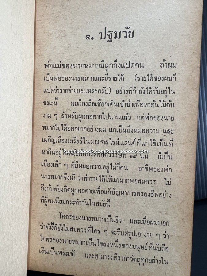 ความผิดพลาดของนายหมาก