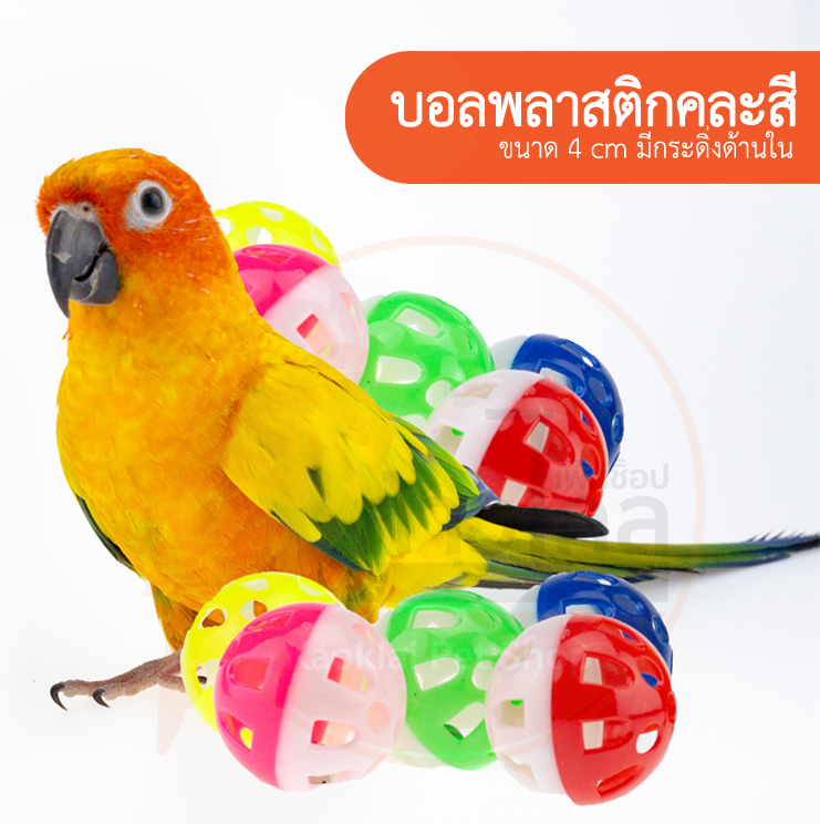 ลูกบอลพลาสติก มีกระดิ่งด้านใน ของเล่นนก 4cm นกแก้ว บอลนกแก้ว คละสี