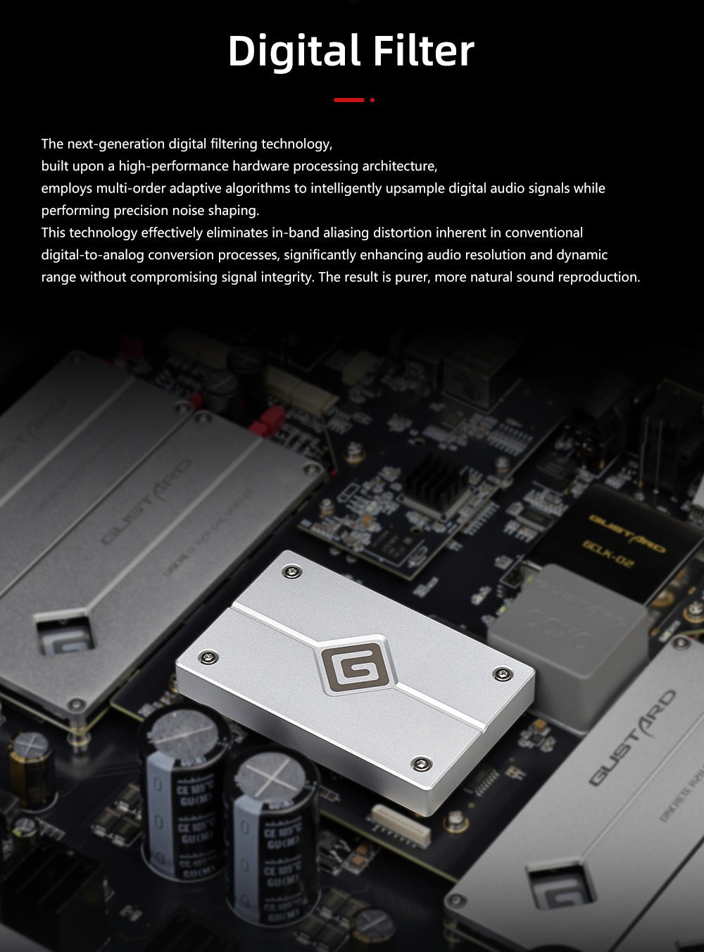 GUSTARD R30 DAC แบบ R2R Discrete พร้อมระบบ Network Streaming ประกันศูนย์ไทย