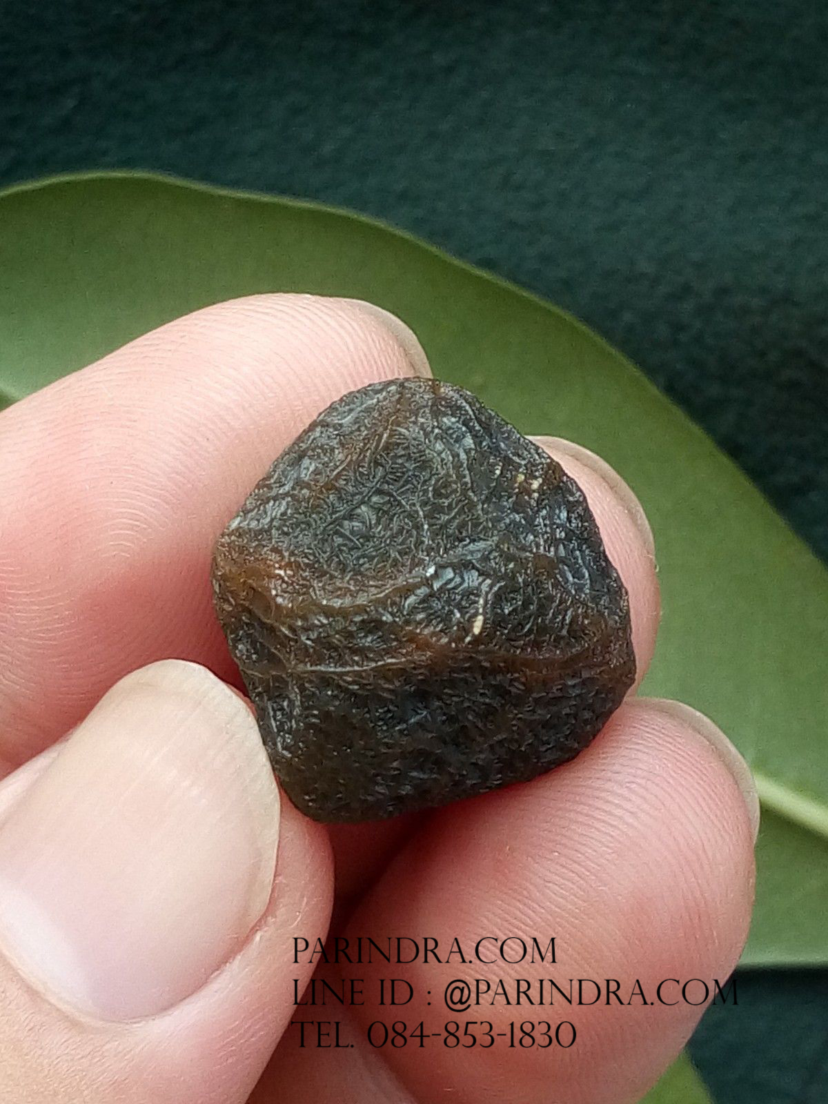 หินรูปทรงประหลาดจากทะเลทรายโกบี GOBI Eye Stone #GOBI004