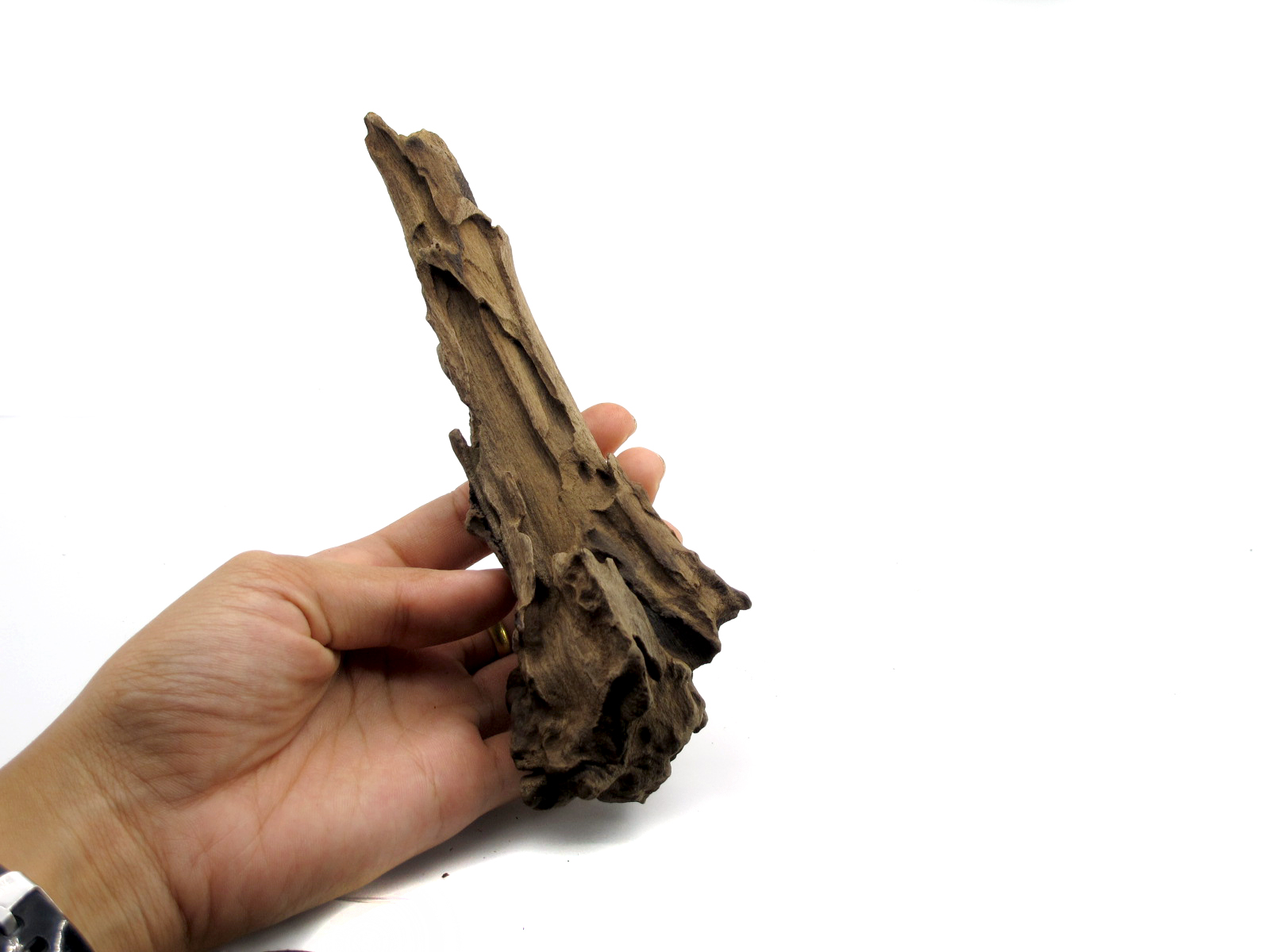 ขอนไม้ตกแต่งตู้ปลาหรือใช้เลี้ยงสัตว์เลื้อยคลาน 063