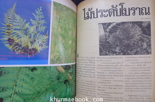 ไม้ประดับในเมืองไทย วารสารของสมาคมไม้ประดับแห่งประเทศไทย ประจำปี 2526