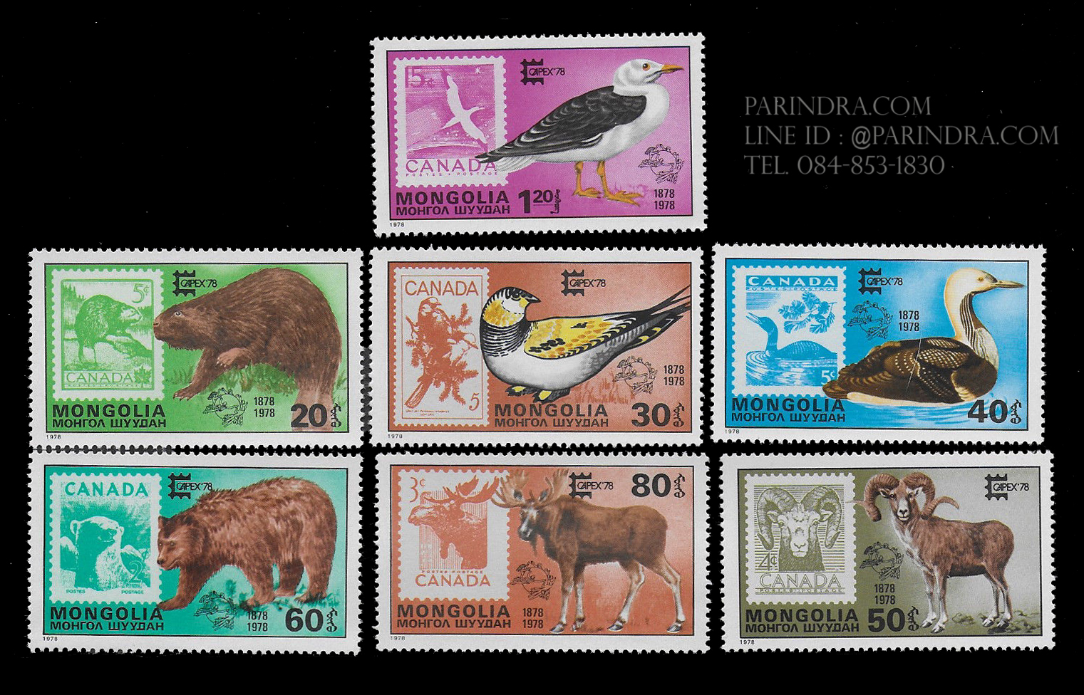 แสตมป์มองโกเลีย ชุด CAPEX 78 ANIMALS สัตว์ป่า ปี 1978 เก่า สวย หายาก - MONGOLIA
