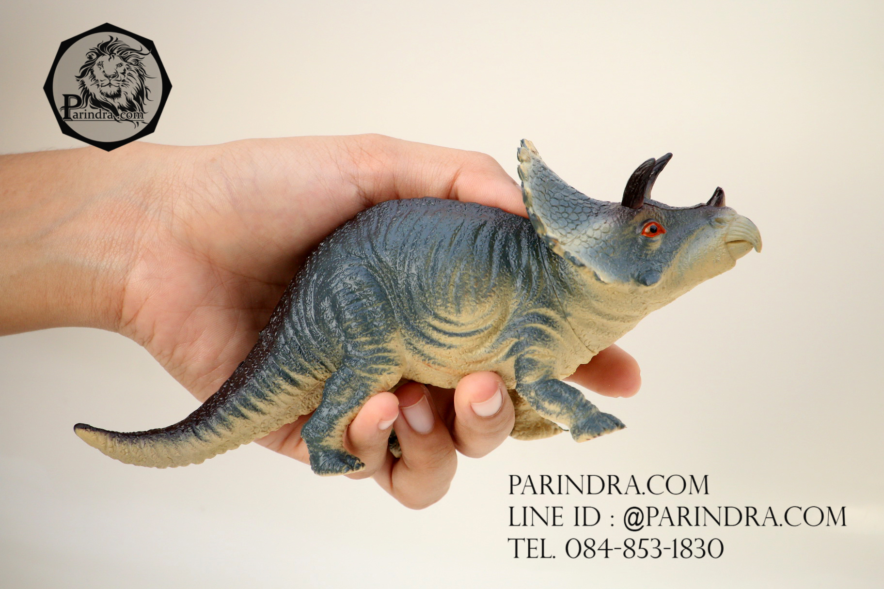 โมเดลไดโนเสาร์ Triceratops (ไตรเซอราท็อปส์)
