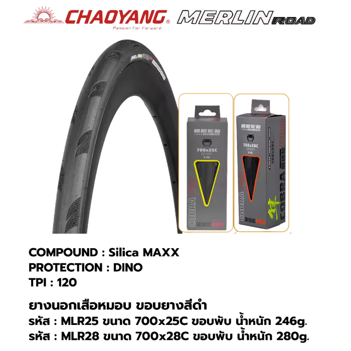 ยางนอก CHAOYANG MERLIN ROAD 700x25C-28C ขอบพับ – กันหนาม Kevlar® สีสันแฟชั่น 2025 | เริ่มต้น 650 บาท