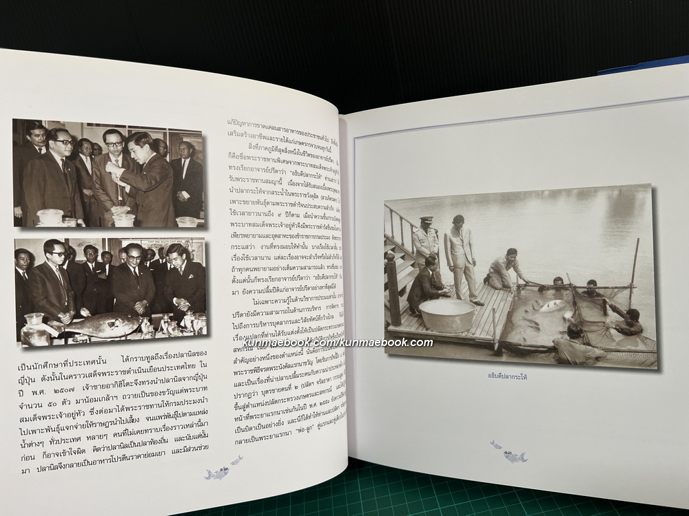 ชีวิตเปี่ยมคุณค่า ปรีดา กรรณสูต