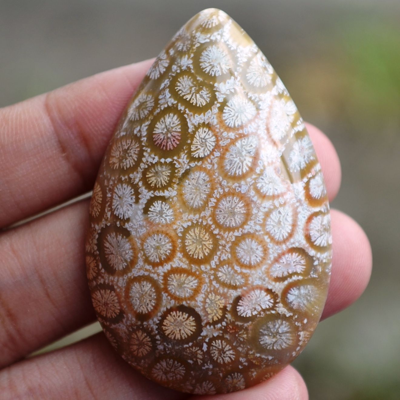 ฟอสซิลหินปะการังขัด Fossil Coral ใหญ่และหนา สำหรับห้อยคอ หรือ พวงกุญแจ คัดสวยพิเศษ #CRF024