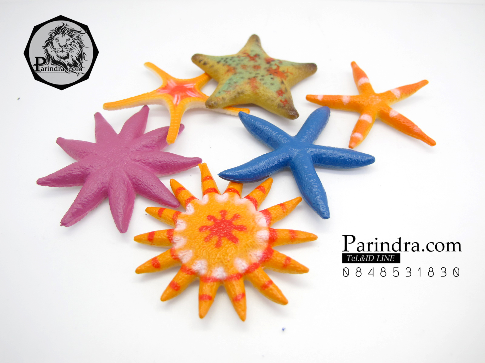 โมเดลดาวทะเลชุด Educational Toys Sea Star Fish