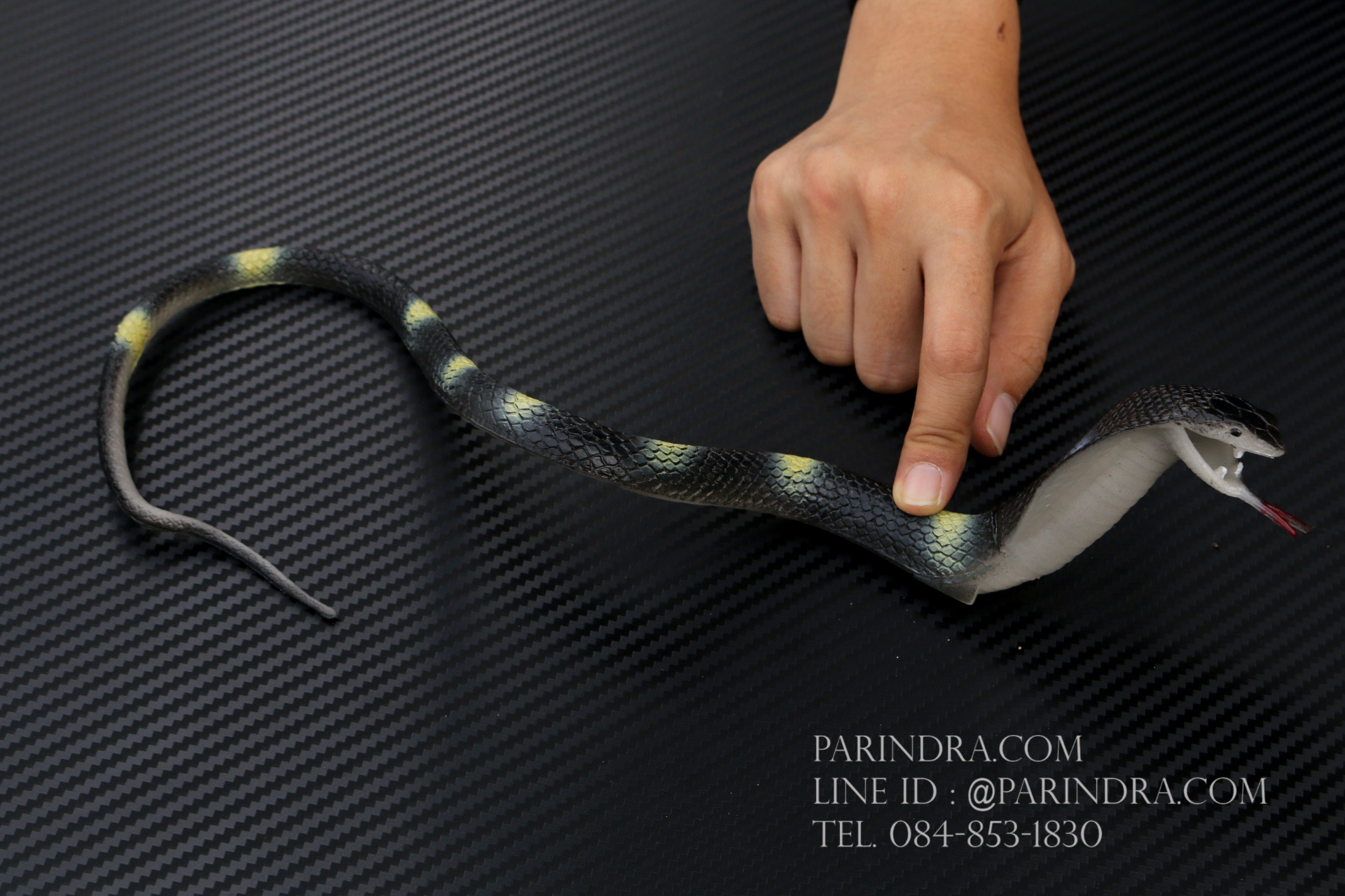 โมเดลงูเห่า เหมือนจริงมาก ทำจากยางยืดหยุ่น สีดำ ลายขาวเหลือง