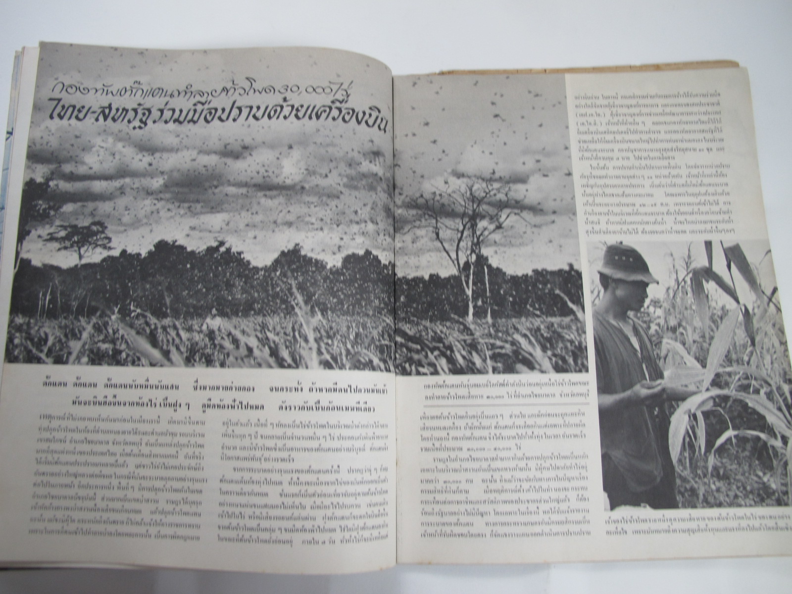 นิตยสาร "เสรีภาพ" ฉบับที่ 97