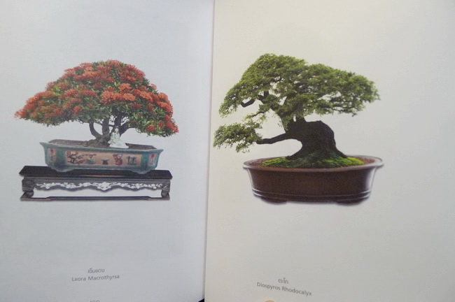 อนุสรณ์ นางอุบล พุกกะณะสุต ท.ช.,ท.ม. *ผู้ถวายพระอักษร(ภาษาอังกฤษ) สมเด็จพระเทพรัตนสุดาฯ