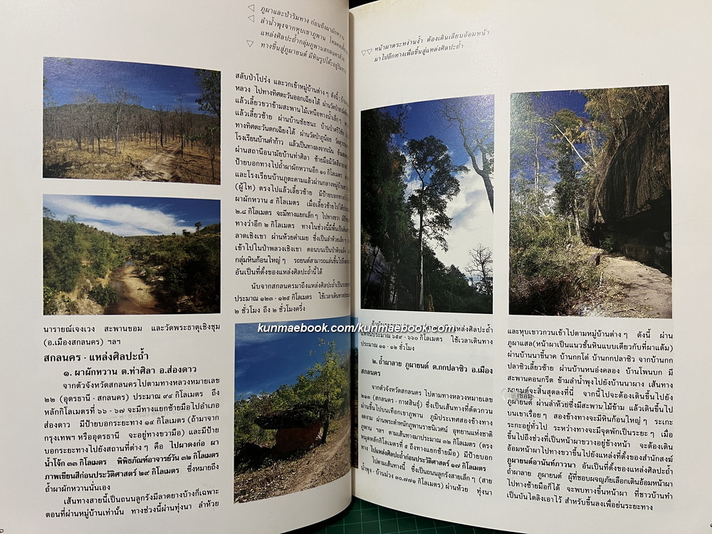 ศิลปะถ้ำสกลนคร / พิสิฐ เจริญวงศ์ บรรณาธิการ