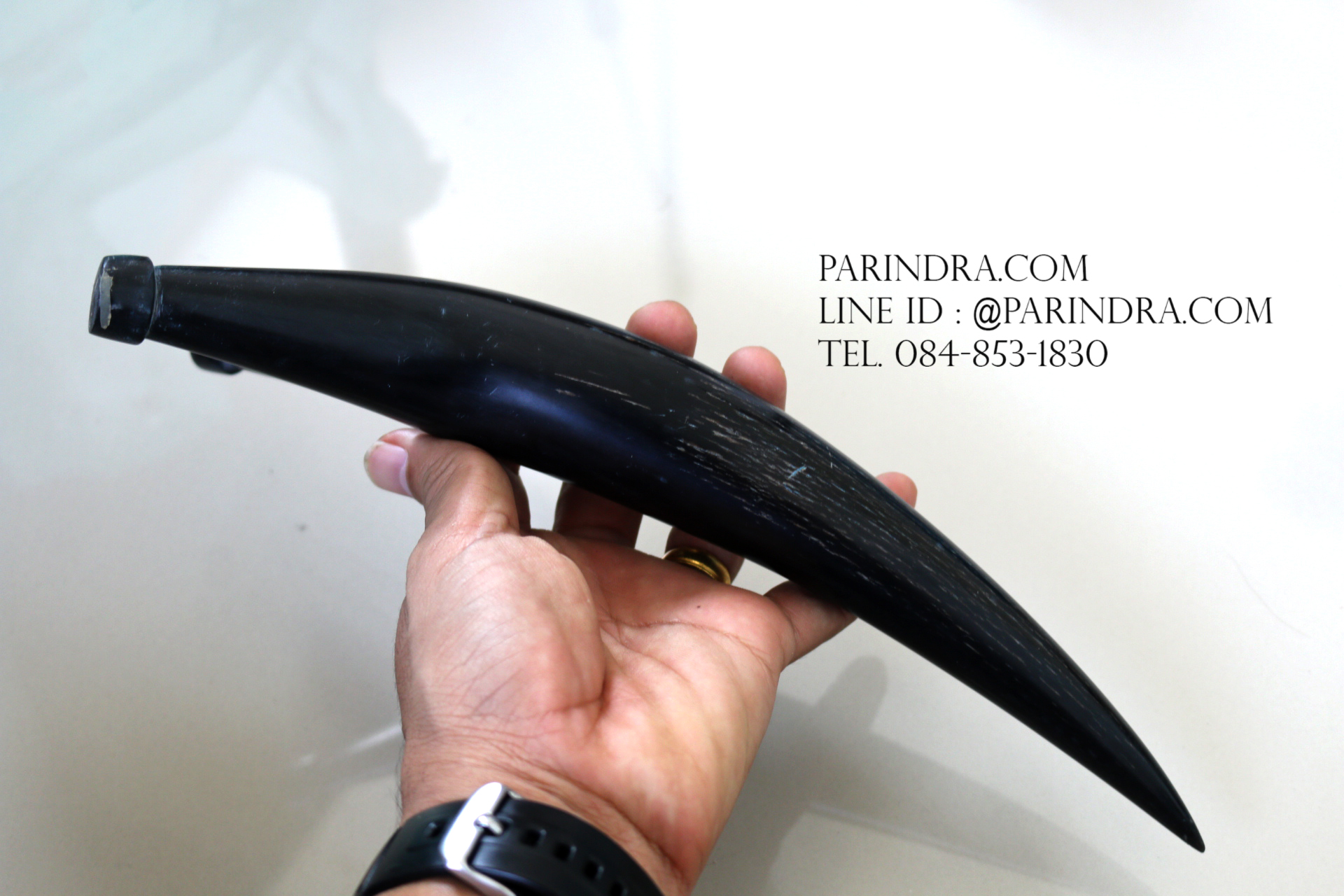 หนังสติ๊กเขาควายตัน สีดำสนิท โค้งงอ เข้ารูปสวยงาม #BAF002