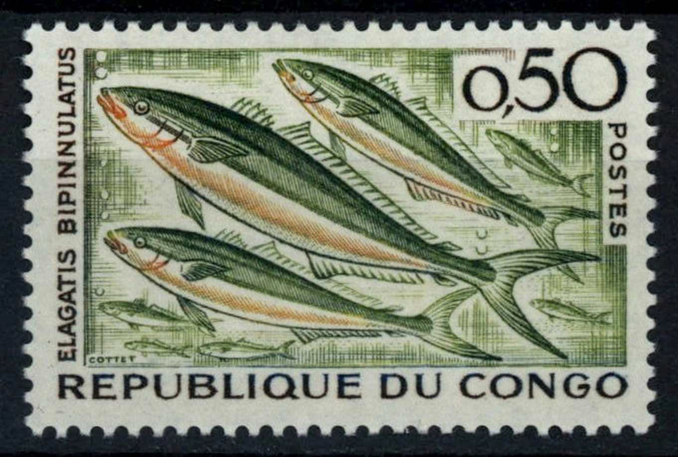 แสตมป์คองโก ชุด DEEP SEA FISH ปลาใต้ทะเลลึก ปี 1961 - CONGO