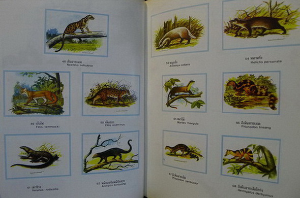 สัตว์ป่าสงวนและสัตว์ป่าคุ้มครอง *ตาม พ.ร.บ. พ.ศ.2503