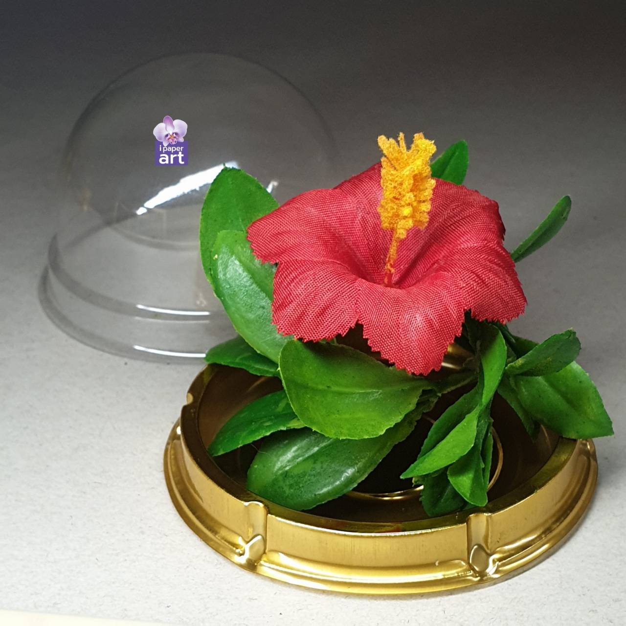 ดอกชบาจิ๋ว | ถวายพระแม่อุมา พระแม่ลักษมี พระพิฆเนศ เทพฮินดูทุกพระองค์