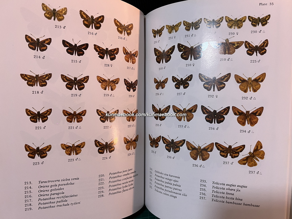 Butterflies in Thailand Volume 5 By Bro.Amnuay Pinratana