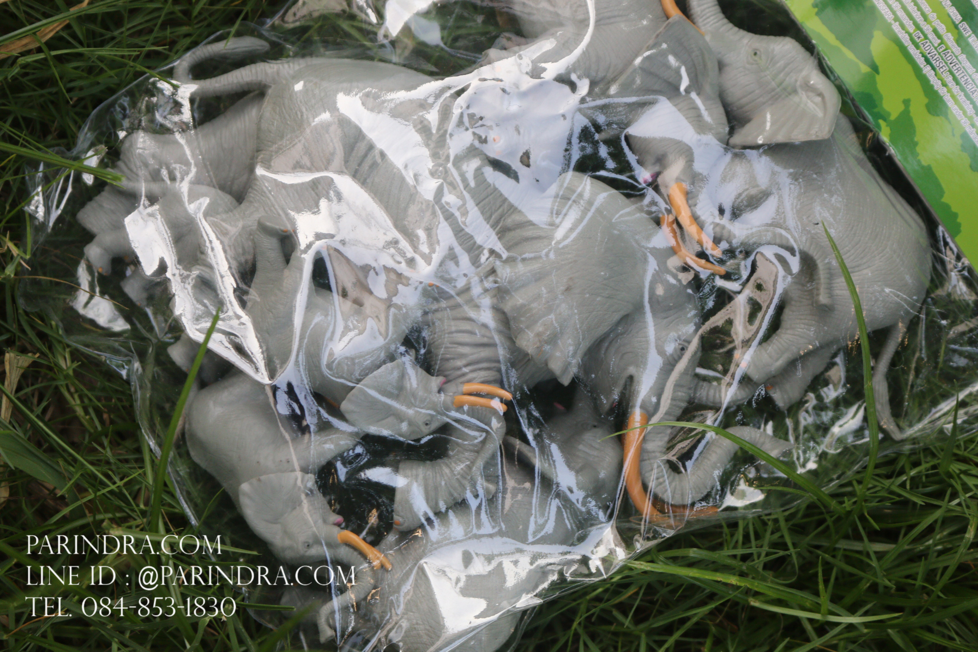 โมเดลสัตว์ชุดโขลงช้าง