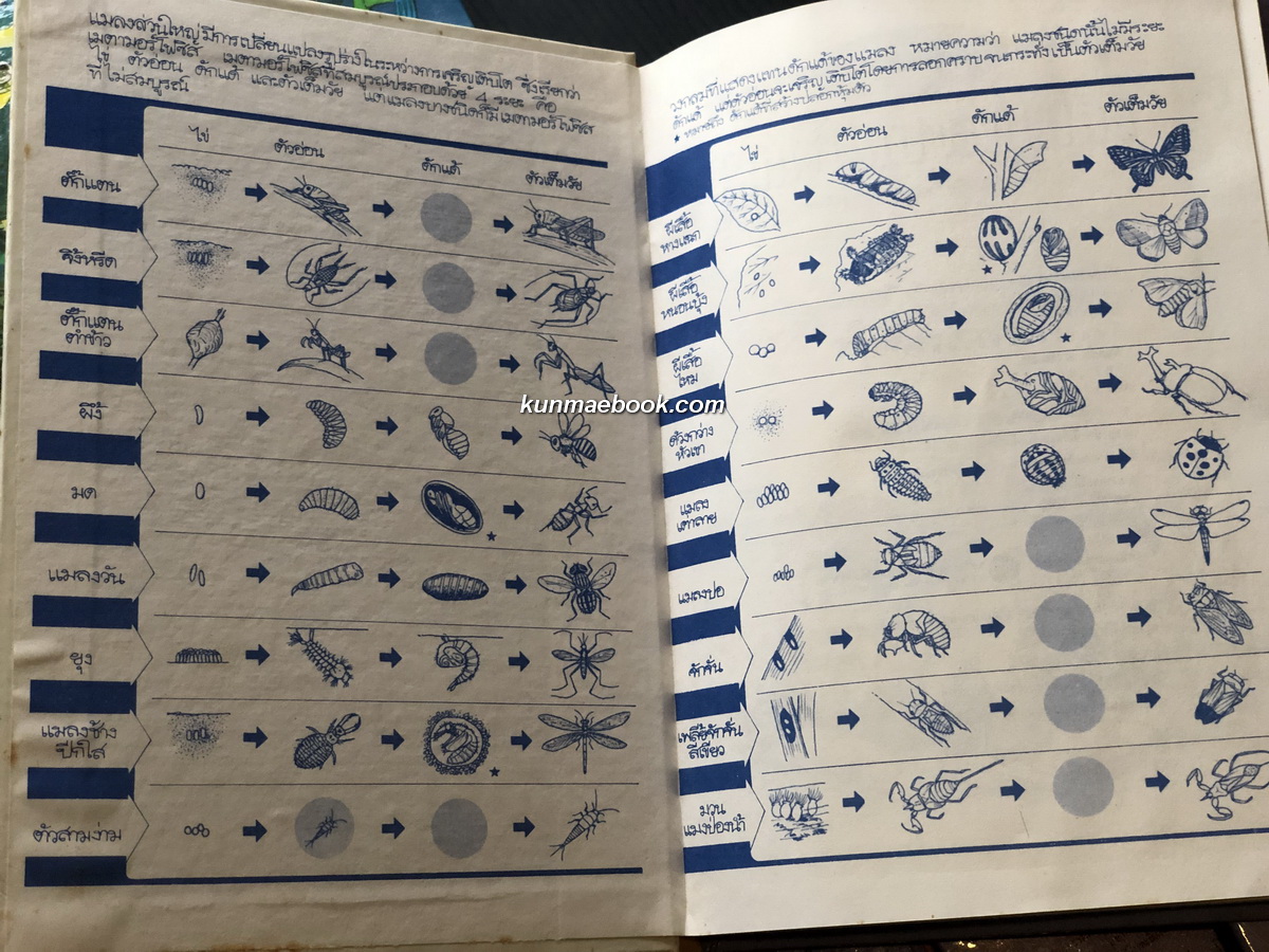 ธรรมชาติมหัศจรรย์ 9 เล่มครบ ( พร้อมกล่องเริ่ดเวอร์ )